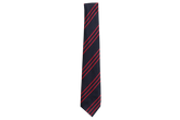 Striped Tie - Holy Family College