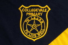 Taslon Tracksuit Set Emb - Collegevale