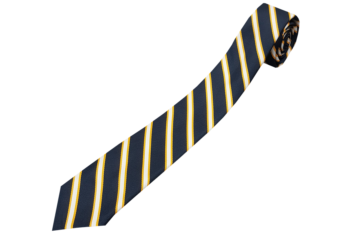 Striped Tie - D.P.H.S