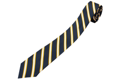 Striped Tie - D.P.H.S