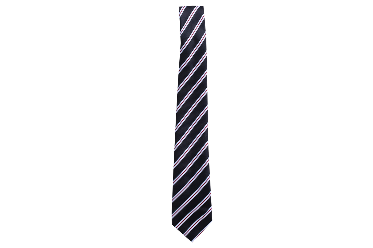 Striped Tie - Masibambane Matric