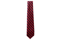 Striped Tie - Florence