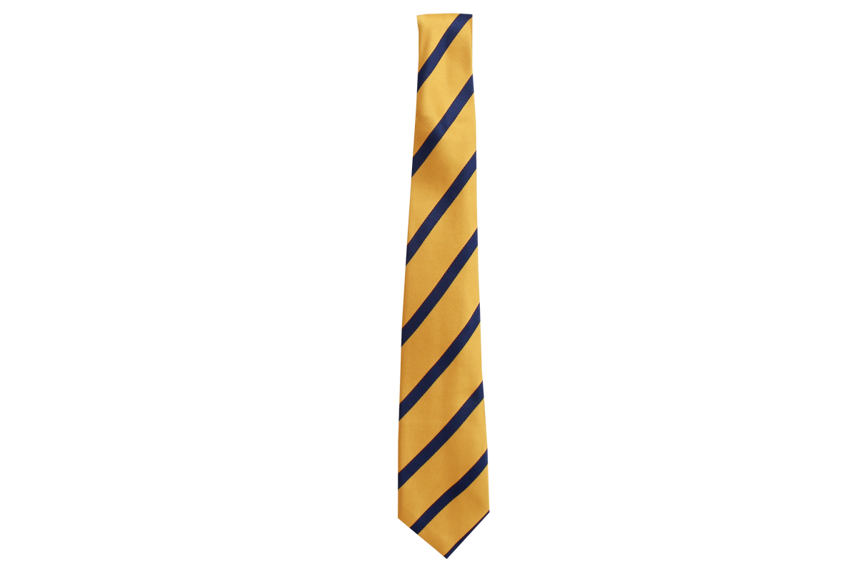 Striped Tie - Sastri
