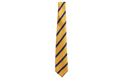 Striped Tie - Sastri