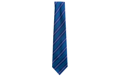 Striped Tie - Rippon Road
