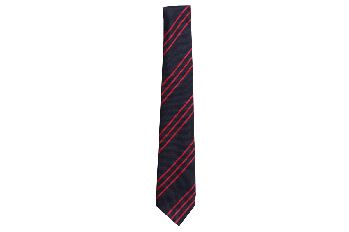 Striped Tie - Holy Family College